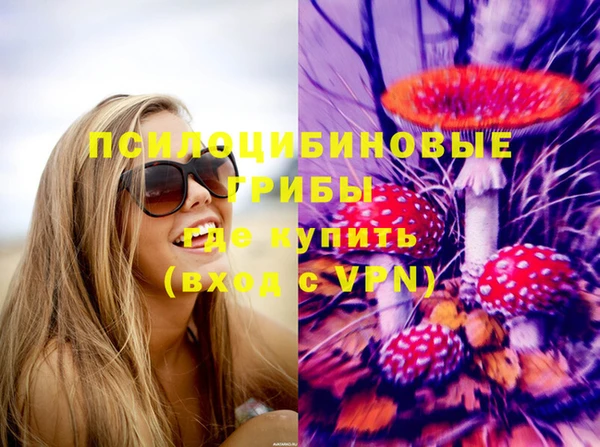 стафф Алзамай